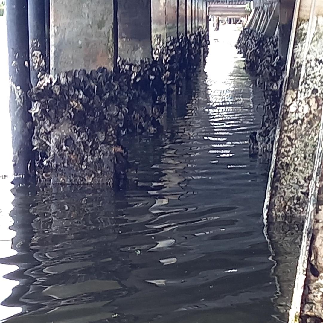 Inspection & Marine Expertise