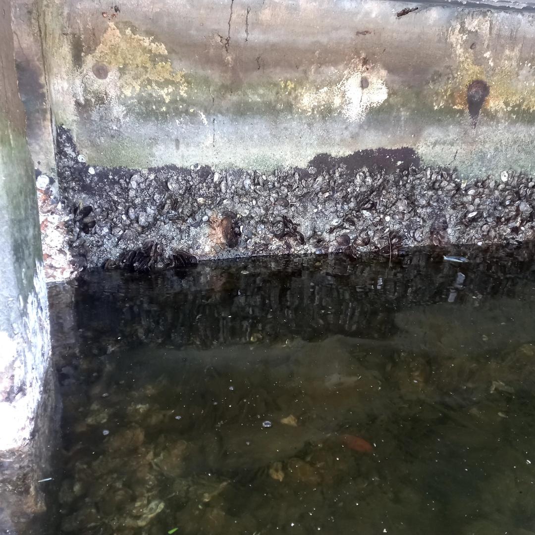 Erosion & Structural Damage